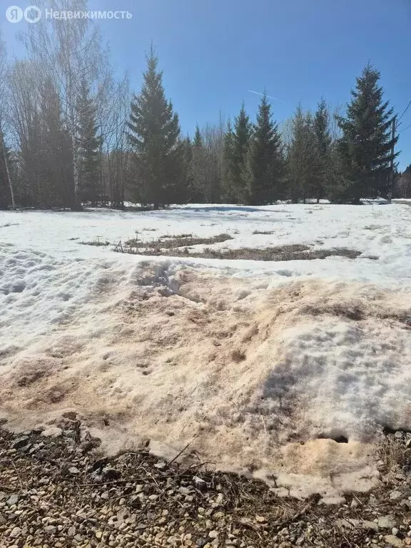 Участок в деревня Кондратово, СНТ Красава-3 (6.7 м) - Фото 1