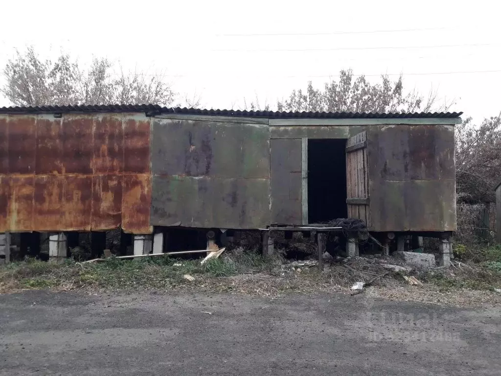 Помещение свободного назначения в Новосибирская область, с. Кочки ул. ... - Фото 2