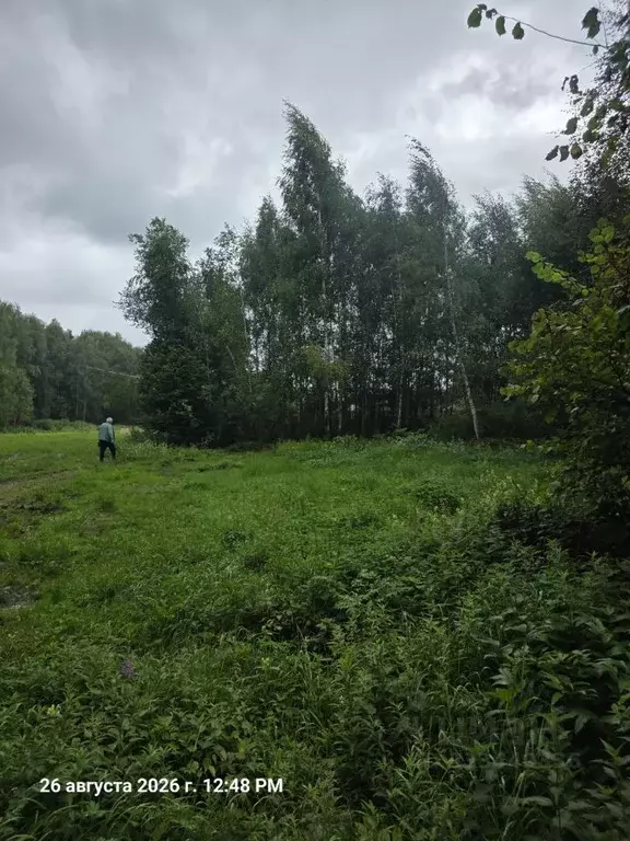 Участок в Московская область, Мытищи городской округ, с. Марфино ул. ... - Фото 2