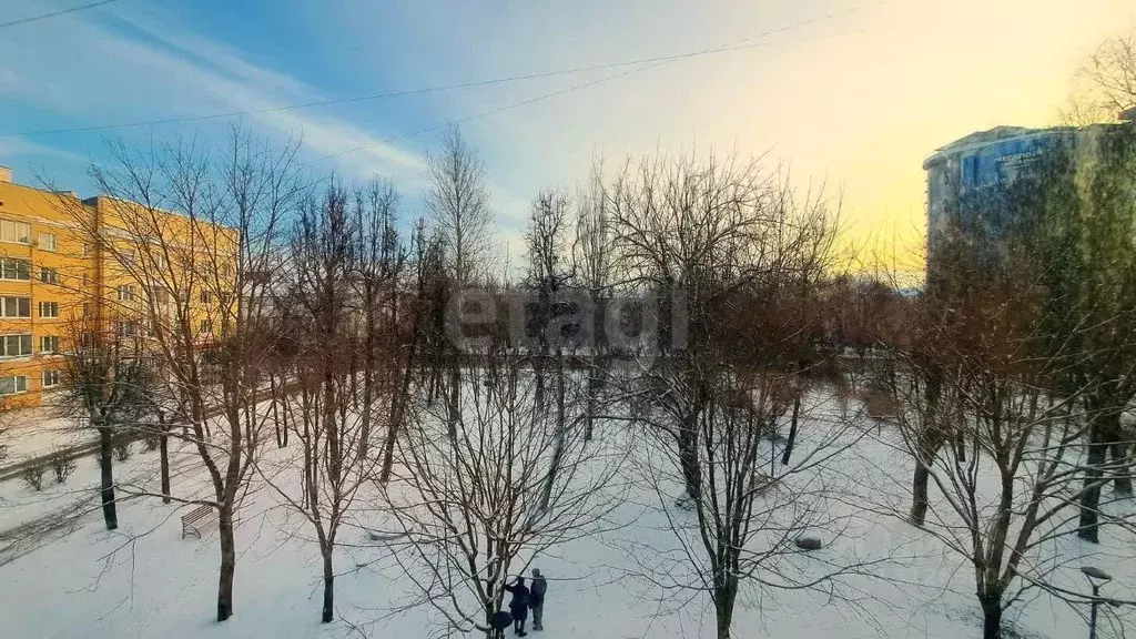 1-к кв. Смоленская область, Смоленск просп. Гагарина, 14/2 (30.0 м) - Фото 0