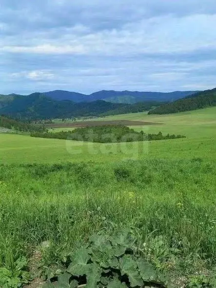 Участок в Алтай, Шебалинский район, с. Арбайта  (4000.0 сот.) - Фото 1