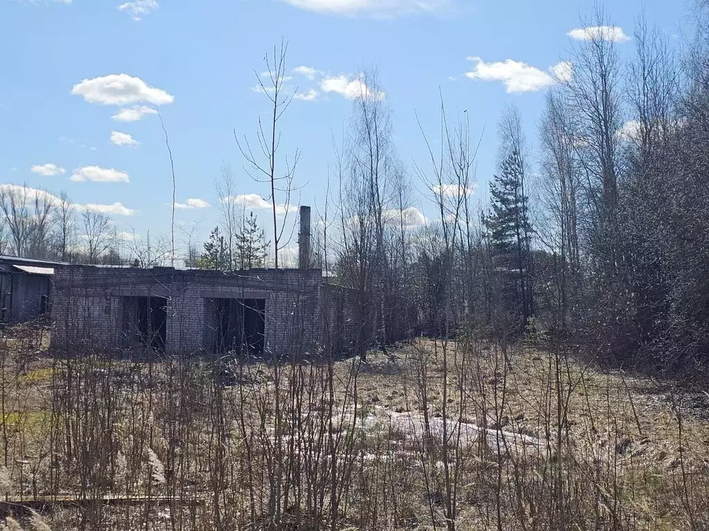 Помещение свободного назначения в Тверская область, Конаковский ... - Фото 1