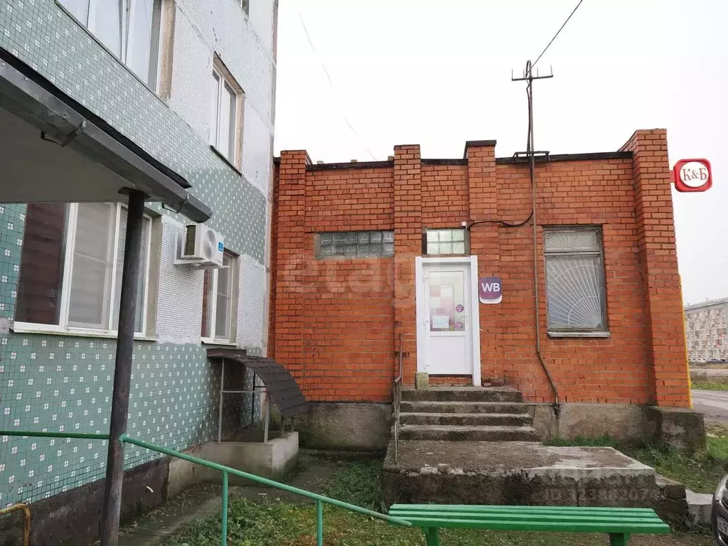 Торговая площадь в Псковская область, Остров Строитель мкр, 12 (333 м) - Фото 1