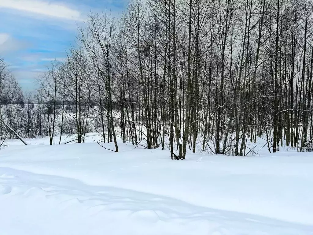 Участок в Московская область, Дмитровский муниципальный округ, ... - Фото 2
