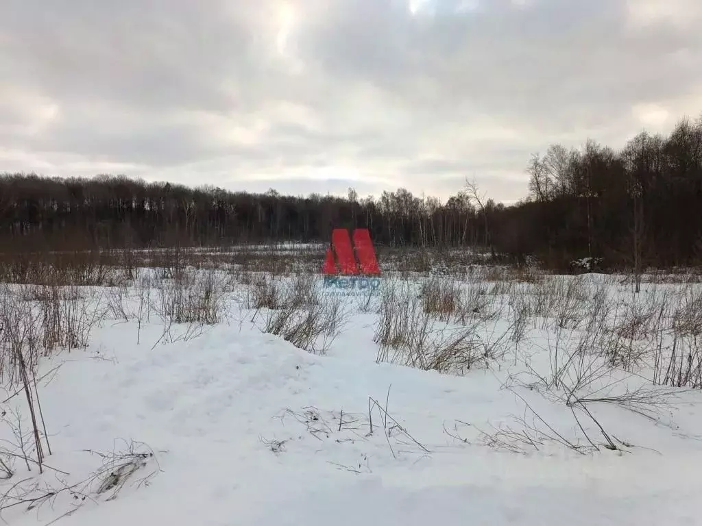 Участок в Ярославская область, Гаврилов-Ямский район, с. Шопша ... - Фото 1