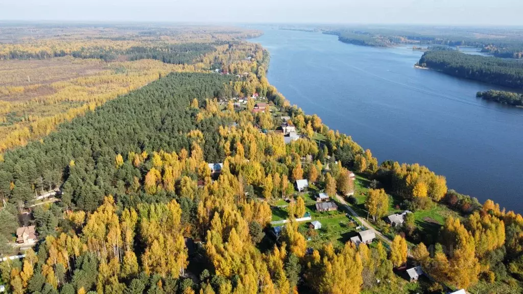 Участок в Тверская область, Кимрский муниципальный округ, д. Селищи  ... - Фото 1