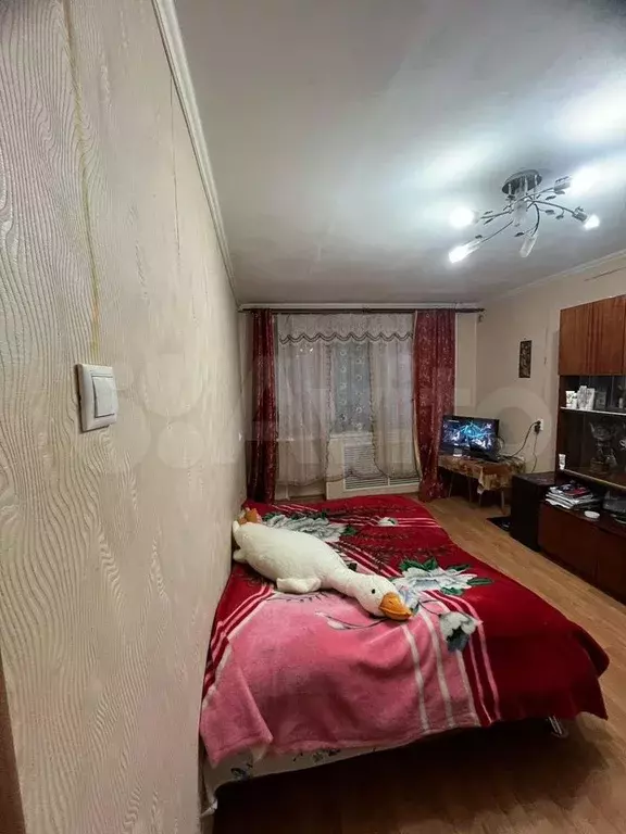 1-к. квартира, 33 м, 1/5 эт. - Фото 1