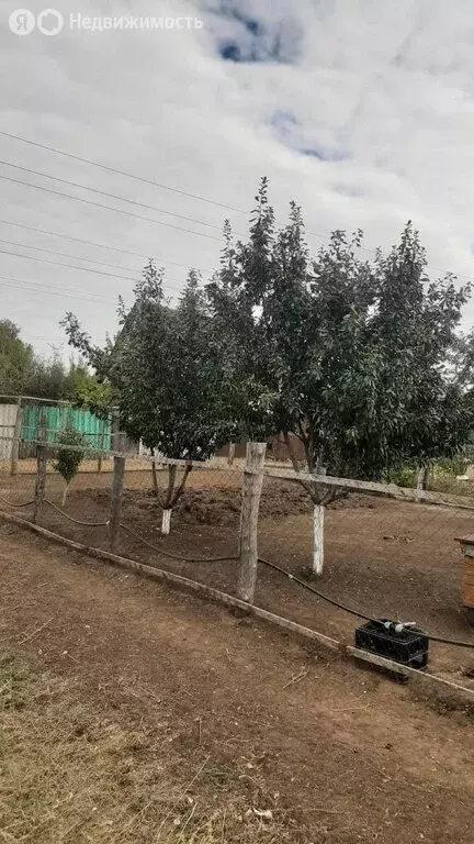 Участок в село Елшанка, Вишнёвая улица (6 м) - Фото 2