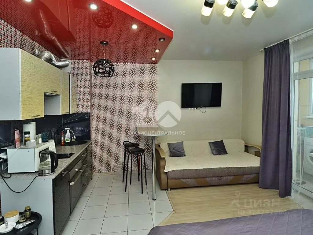 Студия Новосибирская область, Новосибирск Ипподромская ул., 75 (29.4 ... - Фото 2