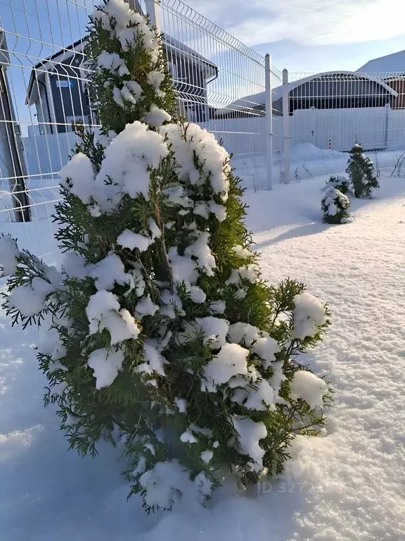 Дом в Ленинградская область, Гатчинский муниципальный округ, ... - Фото 2