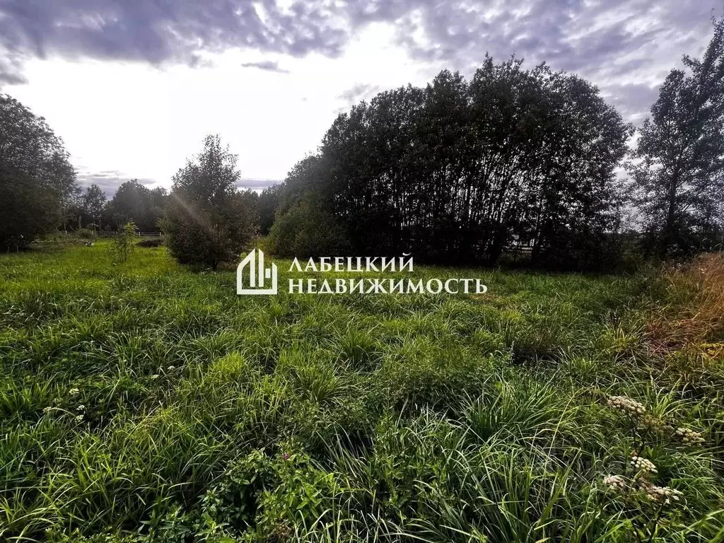 Участок в Ленинградская область, Ломоносовский район, д. Гостилицы  ... - Фото 2