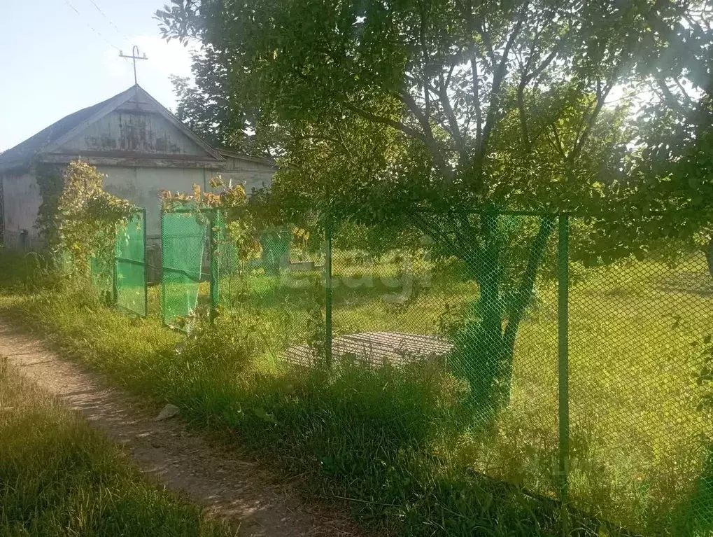 Дом в Костромская область, Кострома Труженик-2 садоводческое ... - Фото 1