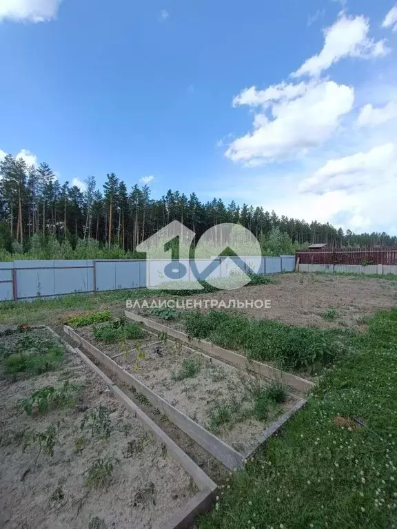 Дом в Новосибирская область, Сузун рп ул. Овчукова-Суворова, 68 (171 ... - Фото 1