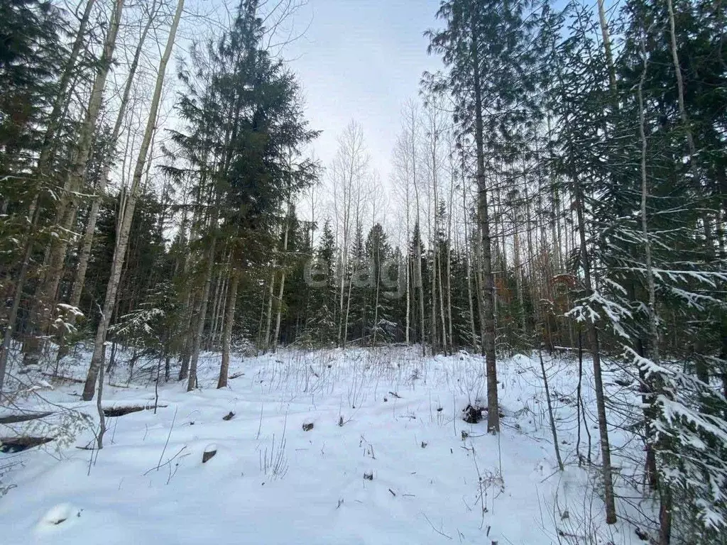 Участок в Ханты-Мансийский АО, Ханты-Мансийск Мир СОНТ,  (8.4 сот.) - Фото 0