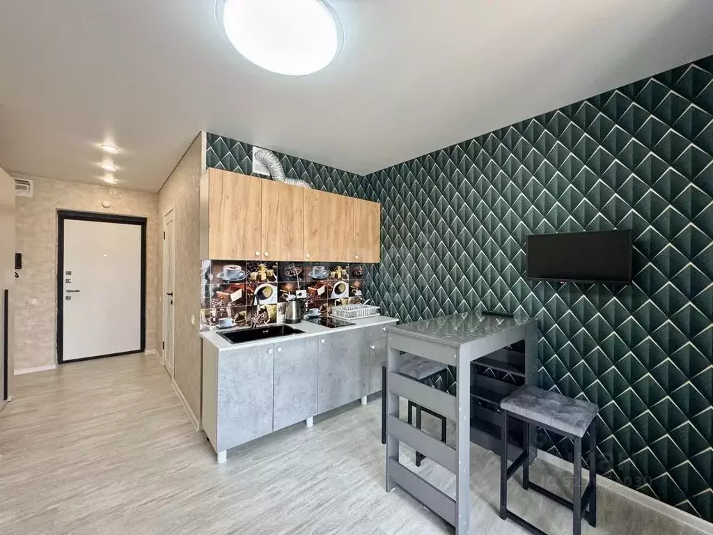 Студия Тюменская область, Тюменский муниципальный округ, д. Патрушева ... - Фото 1