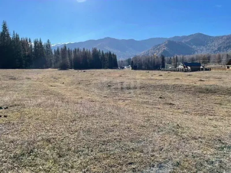Участок в Алтай, Турочакский район, с. Артыбаш пер. Еловый (20.0 сот.) - Фото 1