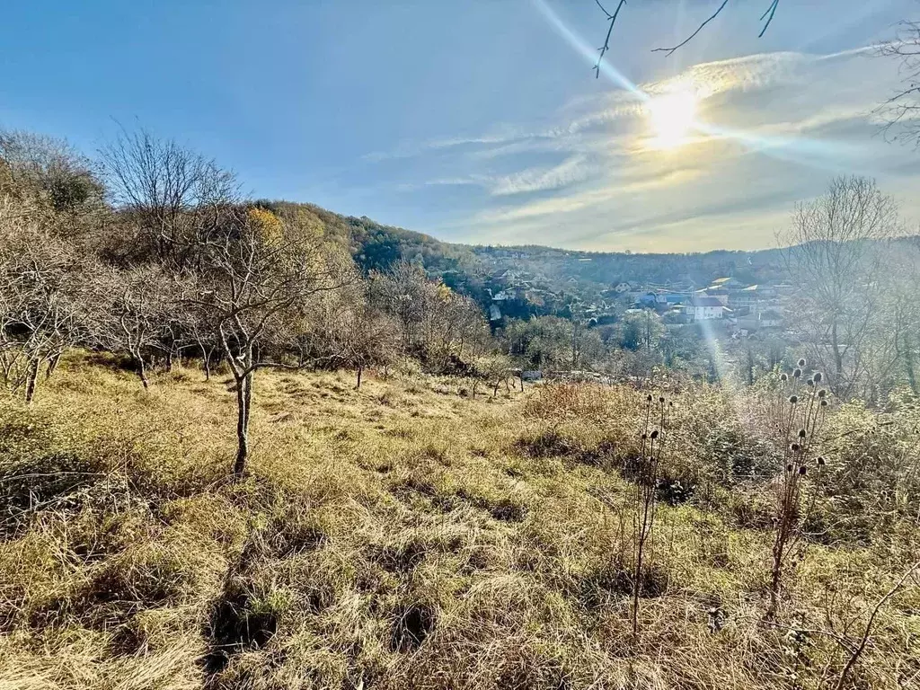 Участок в Краснодарский край, Сочи городской округ, с. Горное Лоо ул. ... - Фото 2