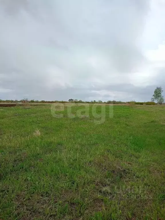 Участок в Амурская область, с. Ивановка 2 (478.0 сот.) - Фото 1