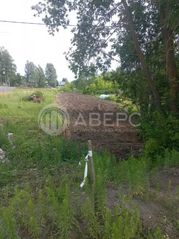 Участок в Владимирская область, округ Муром, село Лазарево (6 м) - Фото 0