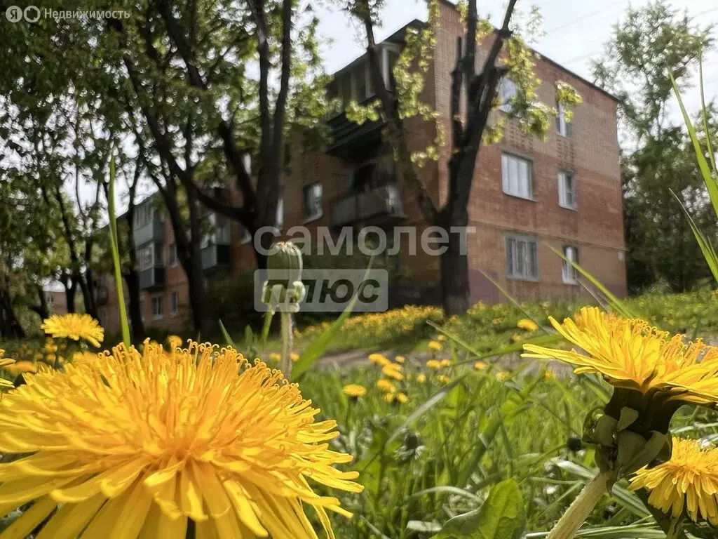 3-комнатная квартира: село Вельяминово, 38 (59.6 м) - Фото 1