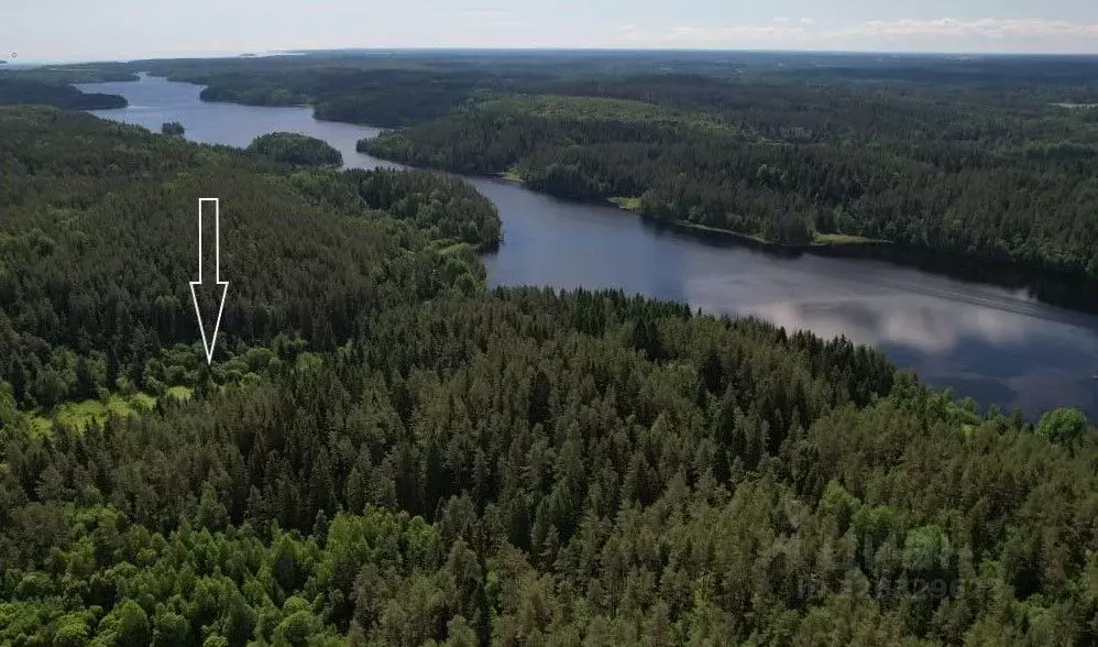 Участок в Карелия, Лахденпохский муниципальный округ, пос. Ласанен ул. ... - Фото 1