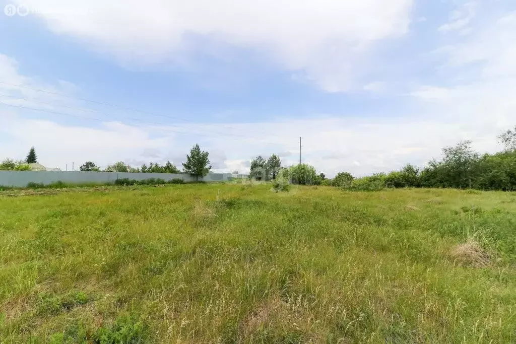 Участок в Тюменский муниципальный округ, деревня Костылева (12.3 м) - Фото 1