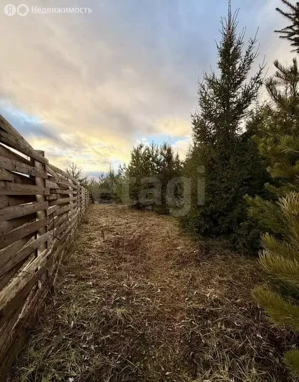 Участок в Шиховское сельское поселение, деревня Балабаны, ... - Фото 2