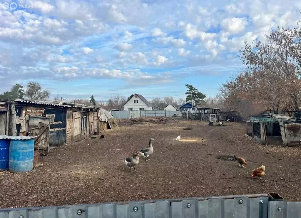 Дом в Саракташский район, Чёрноотрожский сельсовет, станция Чёрный ... - Фото 1