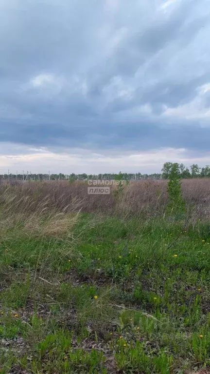 Участок в Курская область, Курск Вишенка СНТ, 167/10 (10.0 сот.) - Фото 0