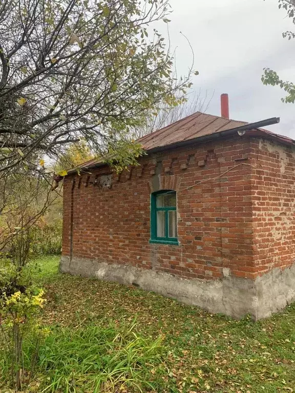 Участок в Воронежская область, Новоусманский район, Орловское с/пос, ... - Фото 2