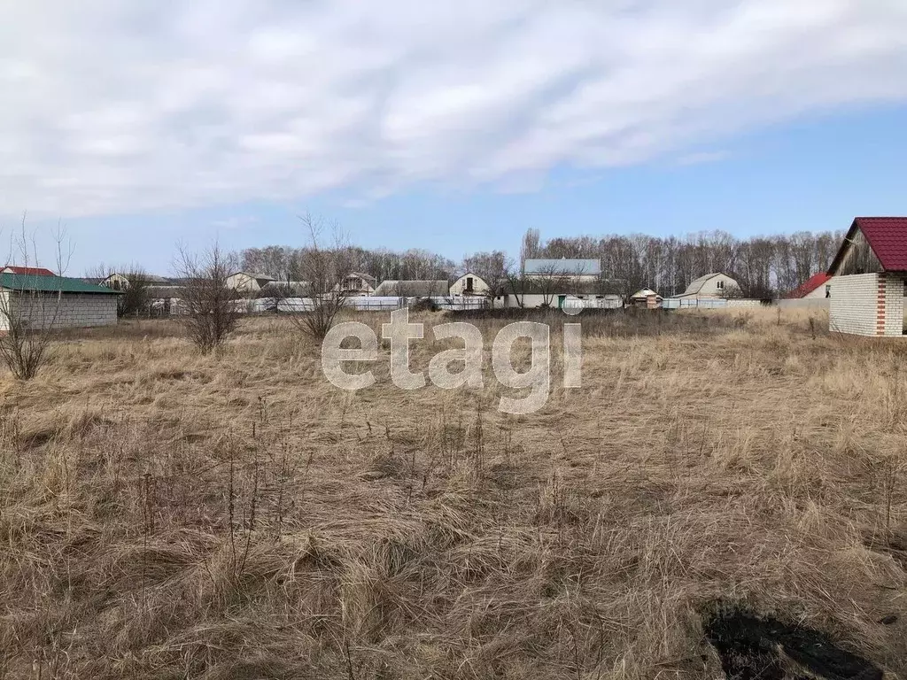 Участок в Белгородская область, Валуйский городской округ, Уразово рп ... - Фото 1