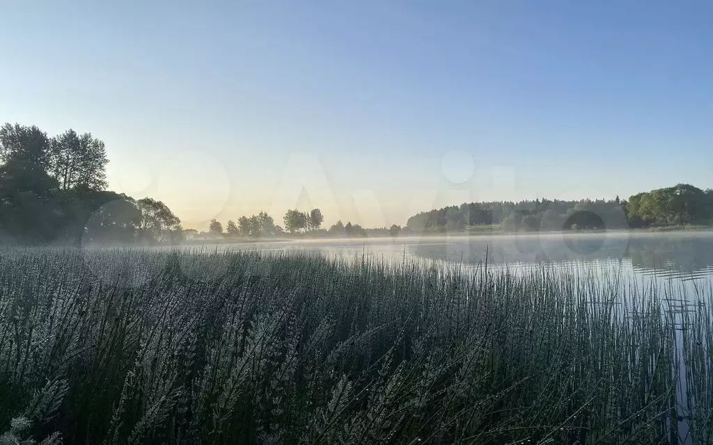 Участок 6,5 сот. (СНТ, ДНП) - Фото 0
