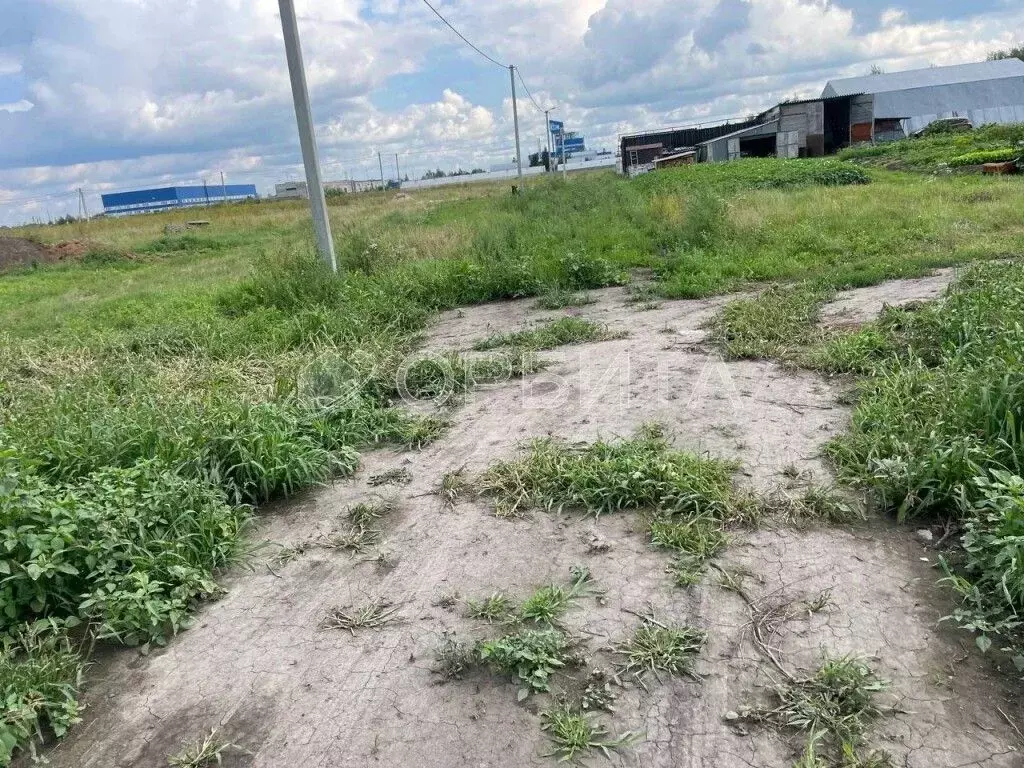 Участок в Тюменская область, Тюменский муниципальный округ, пос. ... - Фото 2