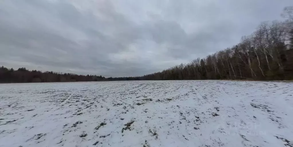 Участок в Москва № 288 кв-л,  (100.0 сот.) - Фото 1