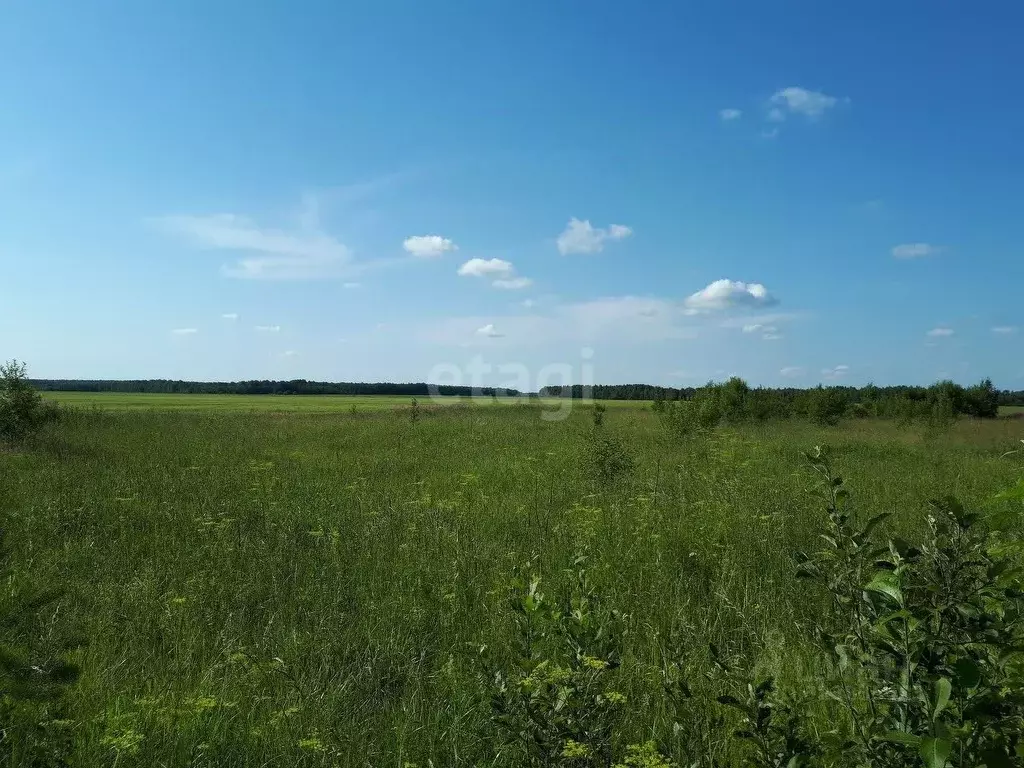 Участок в Томская область, Томский район, с. Корнилово  (9.3 сот.) - Фото 1