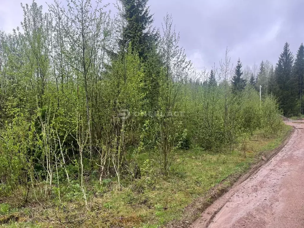 Участок в Ленинградская область, Выборгский район, Первомайское с/пос, ... - Фото 1