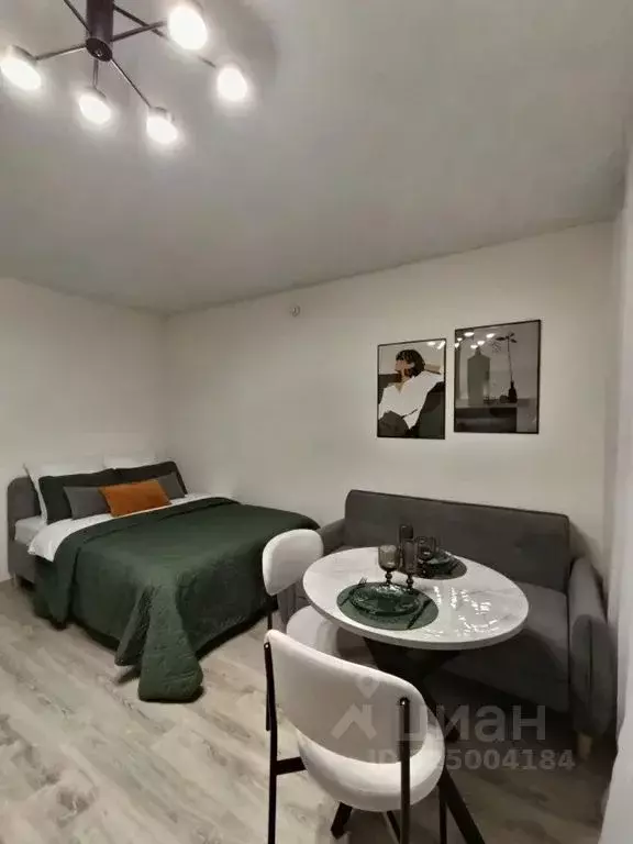 Студия Челябинская область, Челябинский городской округ, пос. Западный ... - Фото 2