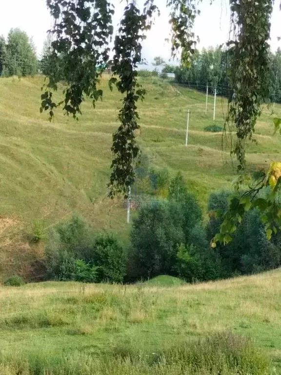 Участок в Чувашия, Чебоксары Лесной СНТ, 108 (4.6 сот.) - Фото 0