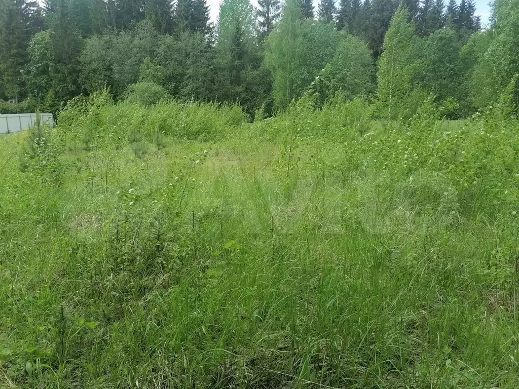 Участок 28 сот. (ИЖС) - Фото 1