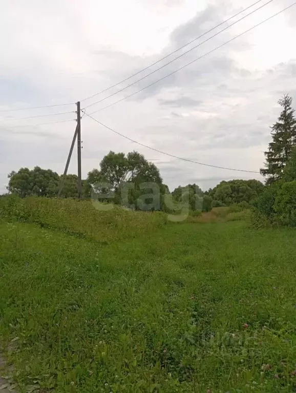 Участок в Брянская область, Дятьковский район, Верховское с/пос, д. ... - Фото 2