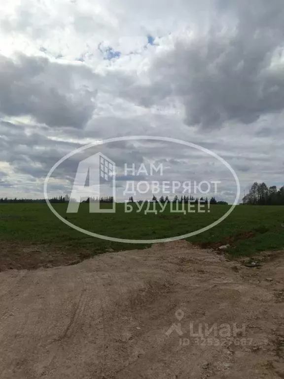 Участок в Пермский край, Кунгурский муниципальный округ, д. Теплая  ... - Фото 1