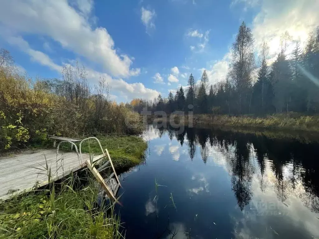 Дом в Вологодская область, Череповецкий район, Синтез садоводческое ... - Фото 0