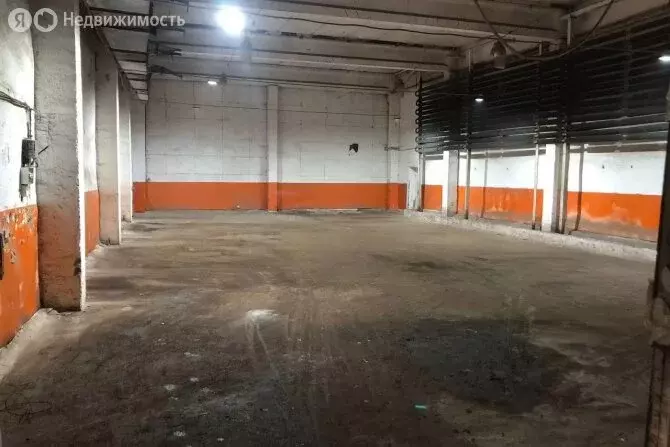 Помещение свободного назначения (270 м) - Фото 0
