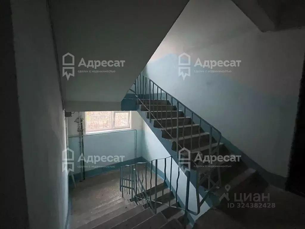 2-к кв. Волгоградская область, Волгоград Гражданская ул., 34 (50.5 м) - Фото 2