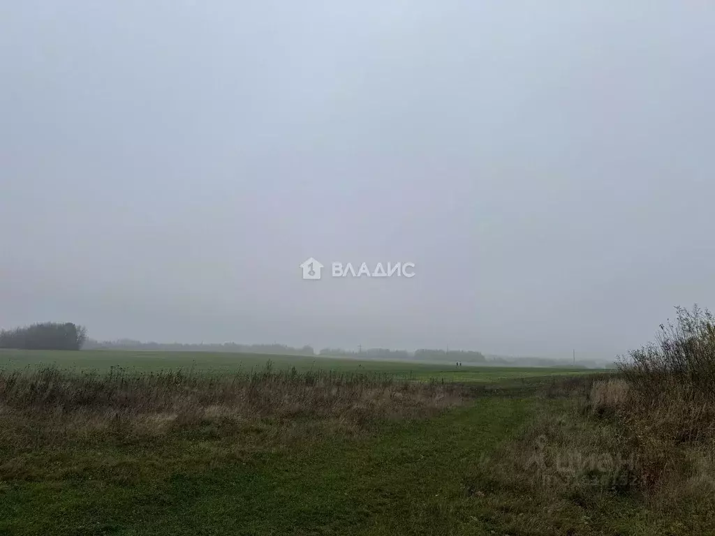 Участок в Калининградская область, Зеленоградский муниципальный округ, ... - Фото 1