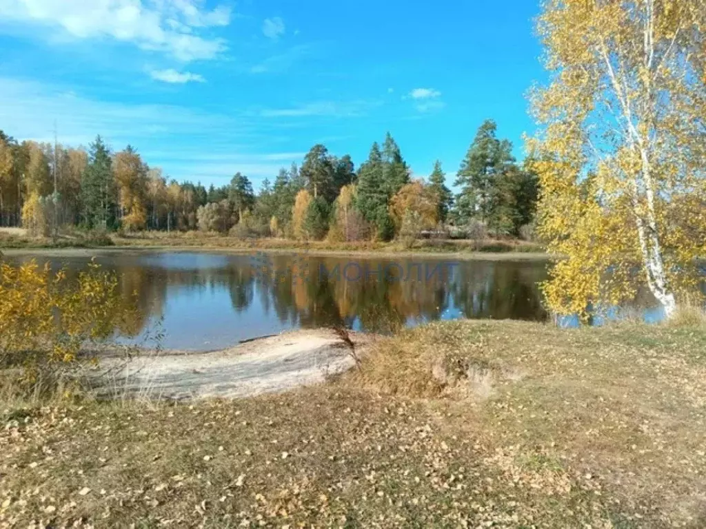 Участок в Нижегородская область, Первомайск городской округ, Сатис рп ... - Фото 0