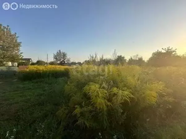 Участок в деревня Дубровка, микрорайон Черёмушки (11.39 м) - Фото 1