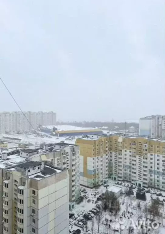 1-к кв. Саратовская область, Саратов ул. Имени Академика О.К. ... - Фото 1