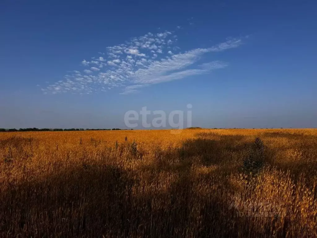 Участок в Крым, Симферопольский район, Николаевка пгт ул. Советская ... - Фото 1