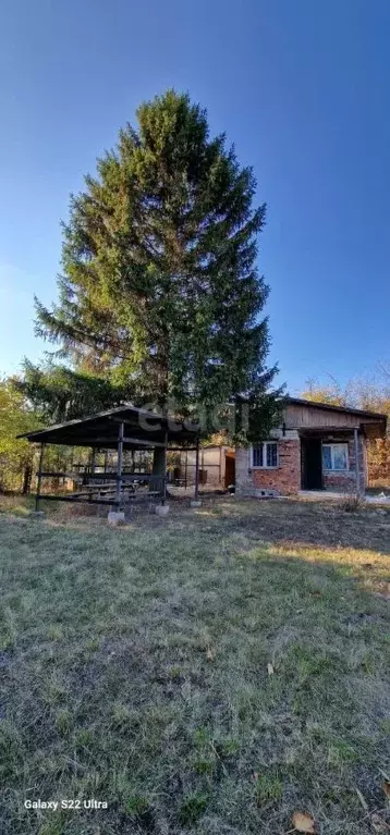 Дом в Воронежская область, Воронеж Дон СНТ, ул. Пожарная, 38 (40 м) - Фото 1